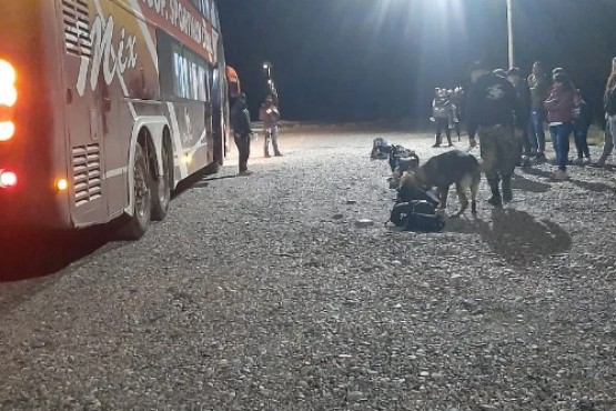 Operativos de control en Perito Moreno