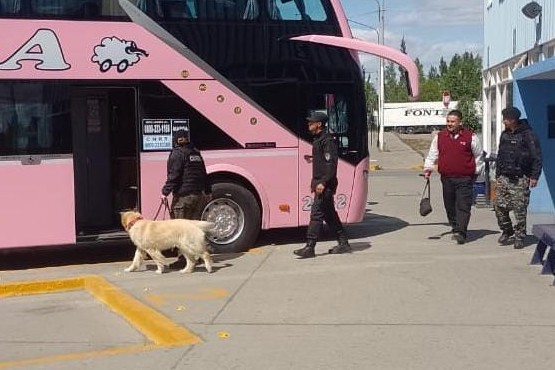 Operativos de control en la terminal de ómnibus 