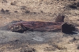 Gran incendio en Puerto Deseado: habría sido por la quema de cobre