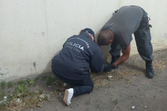 Secuestraron pastillas sospechosas en la alcaldía policial