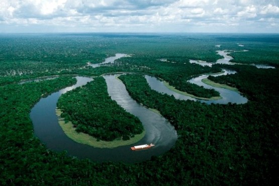 Bajó la deforestación en la selva amazónica de Brasil