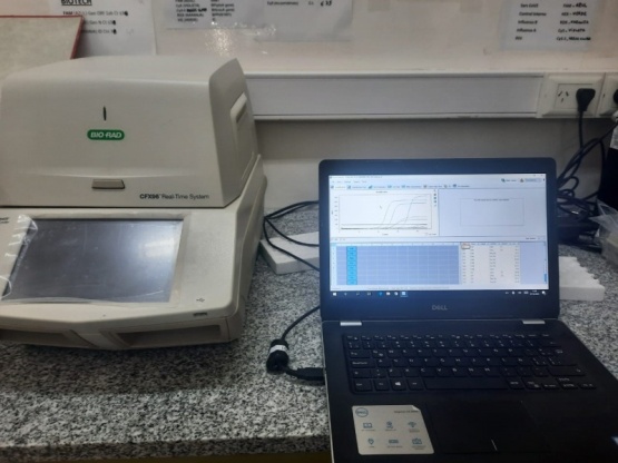 Chubut incorporó la técnica de la PCR para detectar el Chagas en recién nacidos