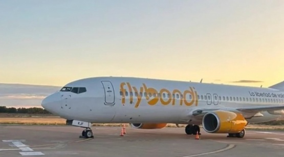 Una paloma rompió el parabrisas de un avión de Flybondi que volaba a la Patagonia