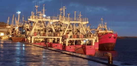 La industria pesquera: una actividad fundamental para el desarrollo de Santa Cruz