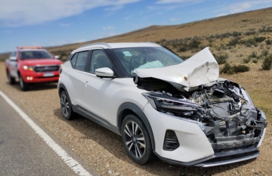 Un auto impactó contra un guanaco y otro volcó