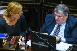 Senado: la oposición pidió una sesión para intentar rechazar el DNU de Milei