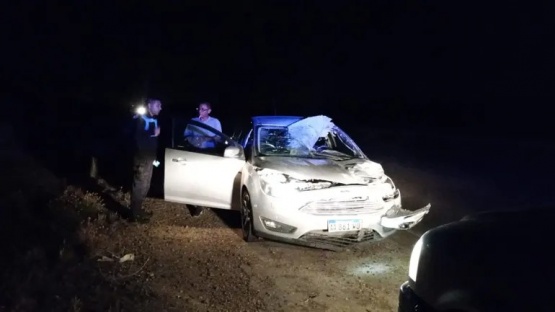 Caballo muere y mujer resulta herida tras colisión vehicular