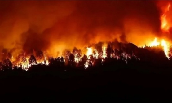 Ya se quemaron más de 1.800 hectáreas