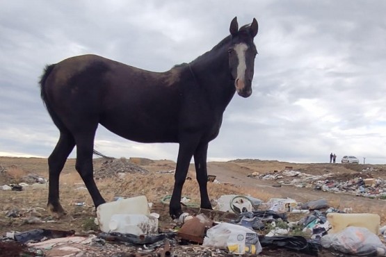 Vecinos de zona de chacras denuncian abandono