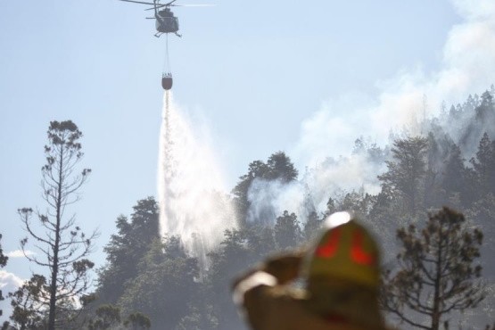 Parque Nacional Los Alerces: alertan que ya son más de 2.000 las hectáreas quemadas