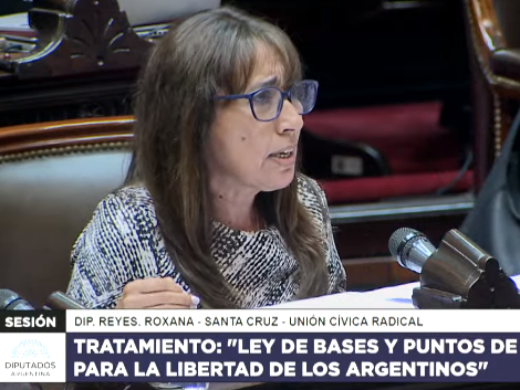 Roxana Reyes: “Estoy convencida que tenemos que votar esta ley”