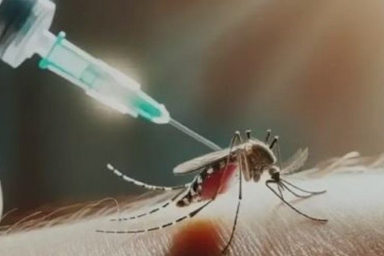 Brasil anunció su vacuna nacional contra el dengue
