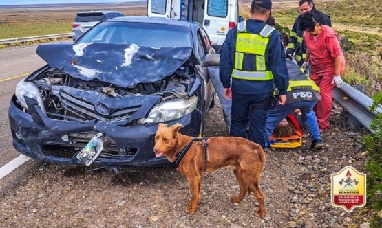 Varias personas heridas tras impactar con un guanaco