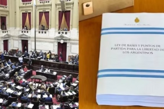 Un diputado del PRO presentó un proyecto para someter a consulta popular la Ley Ómnibus