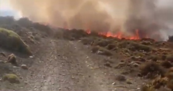 Logran controlar el incendio en campos de Santa Teresita