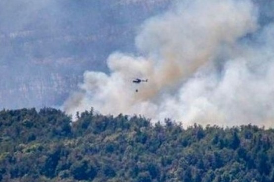 Chubut le pidió al FBI investigar los incendios en el parque nacional Los Alerces