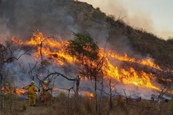 Casi 60 mil hectáreas de zonas protegidas fueron afectadas por incendios forestales en 2023