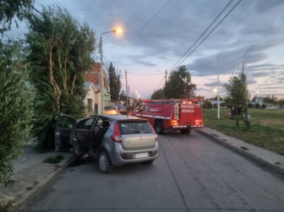 Se desmayó y terminó contra un árbol