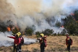 Incendio Los Arces: lograron "controlar" y "contener" sectores del parque