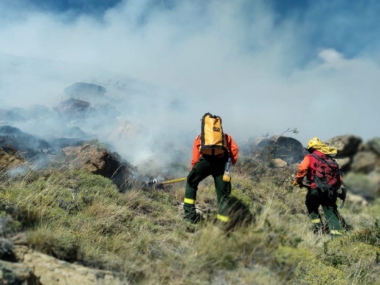 Normativas vigentes vinculadas al manejo del fuego