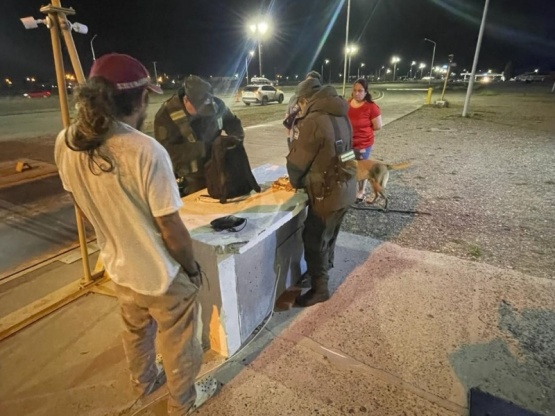 Gendarmería secuestro semillas de marihuana ocultas en medias