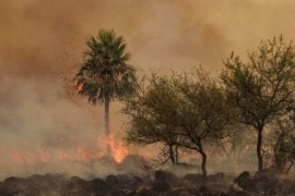 El Chaltén: el índice de incendios forestales se encuentra extremo