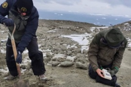 Guardaparque santacruceño en tareas logísticas para estudiar los glaciares