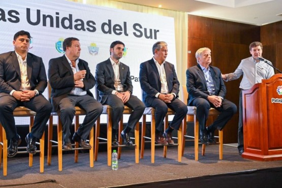 Claudio Vidal, de Santa Cruz; Alberto Weretilneck, de Río Negro; Ignacio Torres, de Chubut; Rolando Figueroa, de Neuquén; Sergio Ziliotto, de La Pampa; y Gustavo Melella, de Tierra del Fuego.