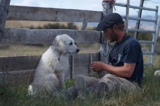 Perros en Conservación: aliados en la preservación del ecosistema patagónico