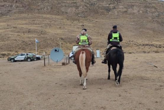 El Calafate: secuestran 21 equinos por incumplimiento de los propietarios