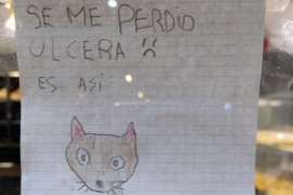 Menor de Río Gallegos busca a su mascota: el cartel emociona a la comunidad