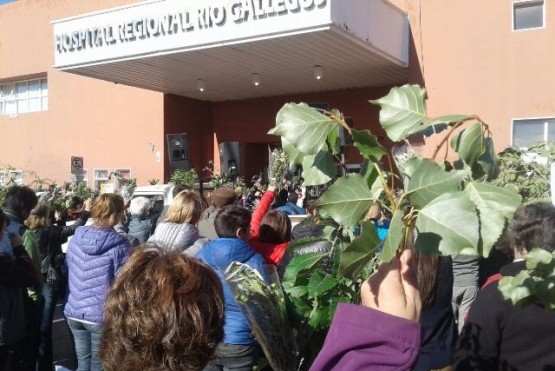 Cómo se vivirá el Domingo de Ramos en Río Gallegos: los detalles de la celebración