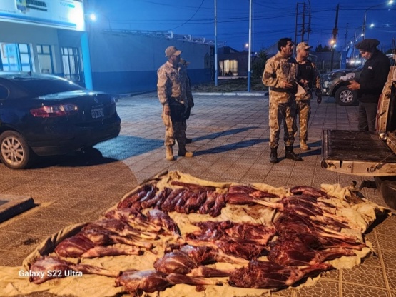 Secuestran animales faenados y armas blancas en un control en la Ruta N° 12