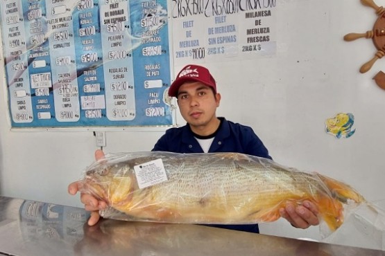 Río Gallegos: los precios de las pescaderías en la Vigilia de Semana Santa