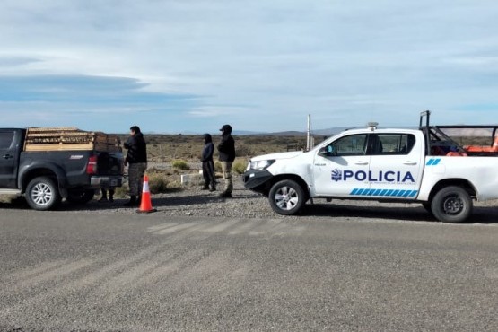 Decomisan carne de guanaco en operativo de control vehicular