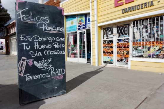 Río Gallegos: el humor de los comerciantes ante la plaga de moscas