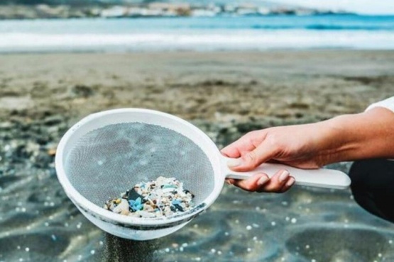 La contaminación por microplásticos, una problemática en Santa Cruz y el mundo 