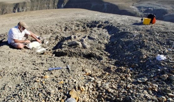 Científicos del CONICET descubren en Chubut los restos de un titanosaurio