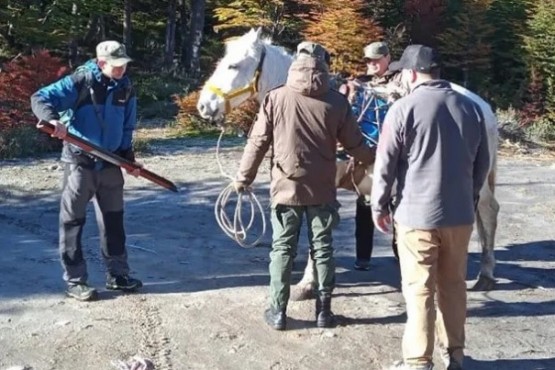 Judicial: se frena un emprendimiento turístico en Lago del Desierto