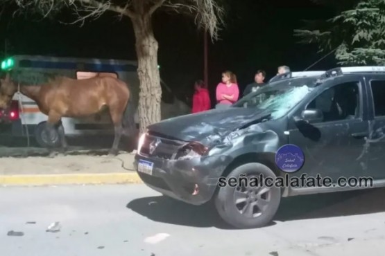 Dos menores hospitalizados tras impactar contra un caballo