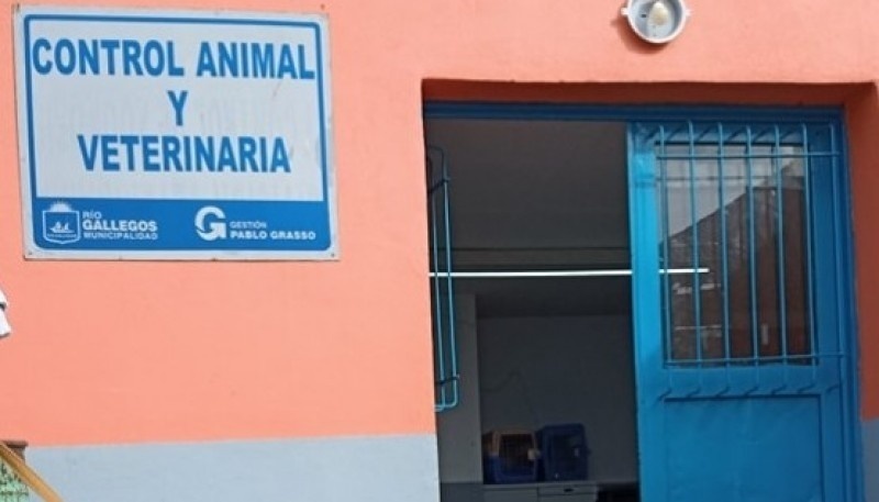 Pedro Aguirre: “En un mes ya llevamos 300 animales castrados”