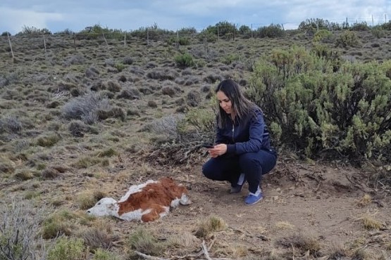 Tecnología de vanguardia al servicio del sector agropecuario en Santa Cruz