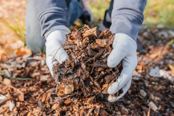 Se realizará una nueva edición de “Compostando en otoño”