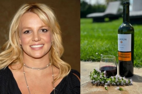 Britney Spears tomó un vino popular argentino y aseguró: 