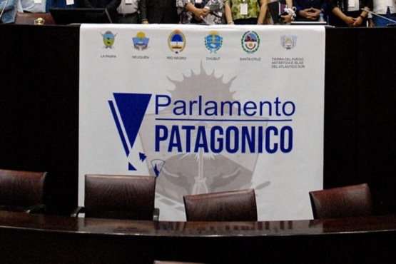 Finalmente, el Parlamento Patagónico será virtual