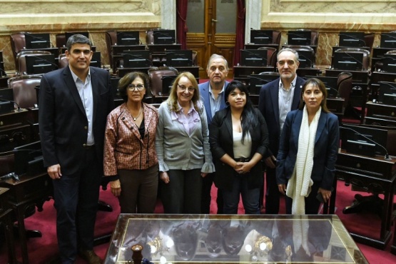 Senadores patagónicos: 
