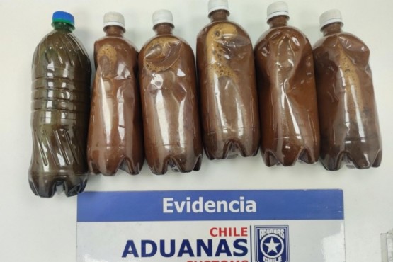 Fiscalizadores de Aduanas incautan ayahuasca en el Aeropuerto Internacional de Santiago