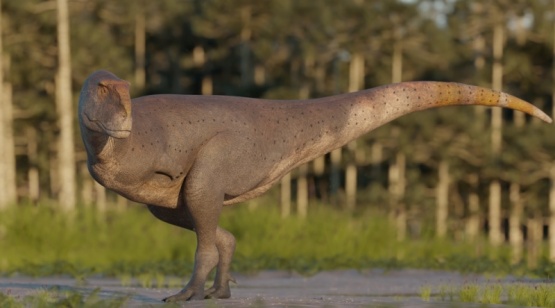 Hallan en Chubut una nueva especie de dinosaurio carnívoro