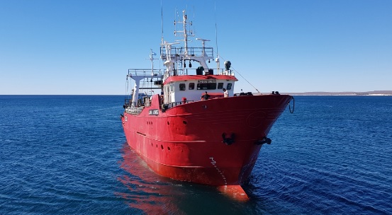 CAPIP y CAPeCA solicitan la suspensión de los derechos de exportación a la pesca