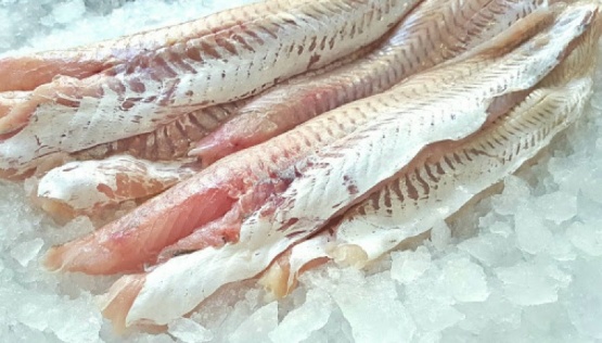 La industria pesquera reclama la suspensión de las retenciones